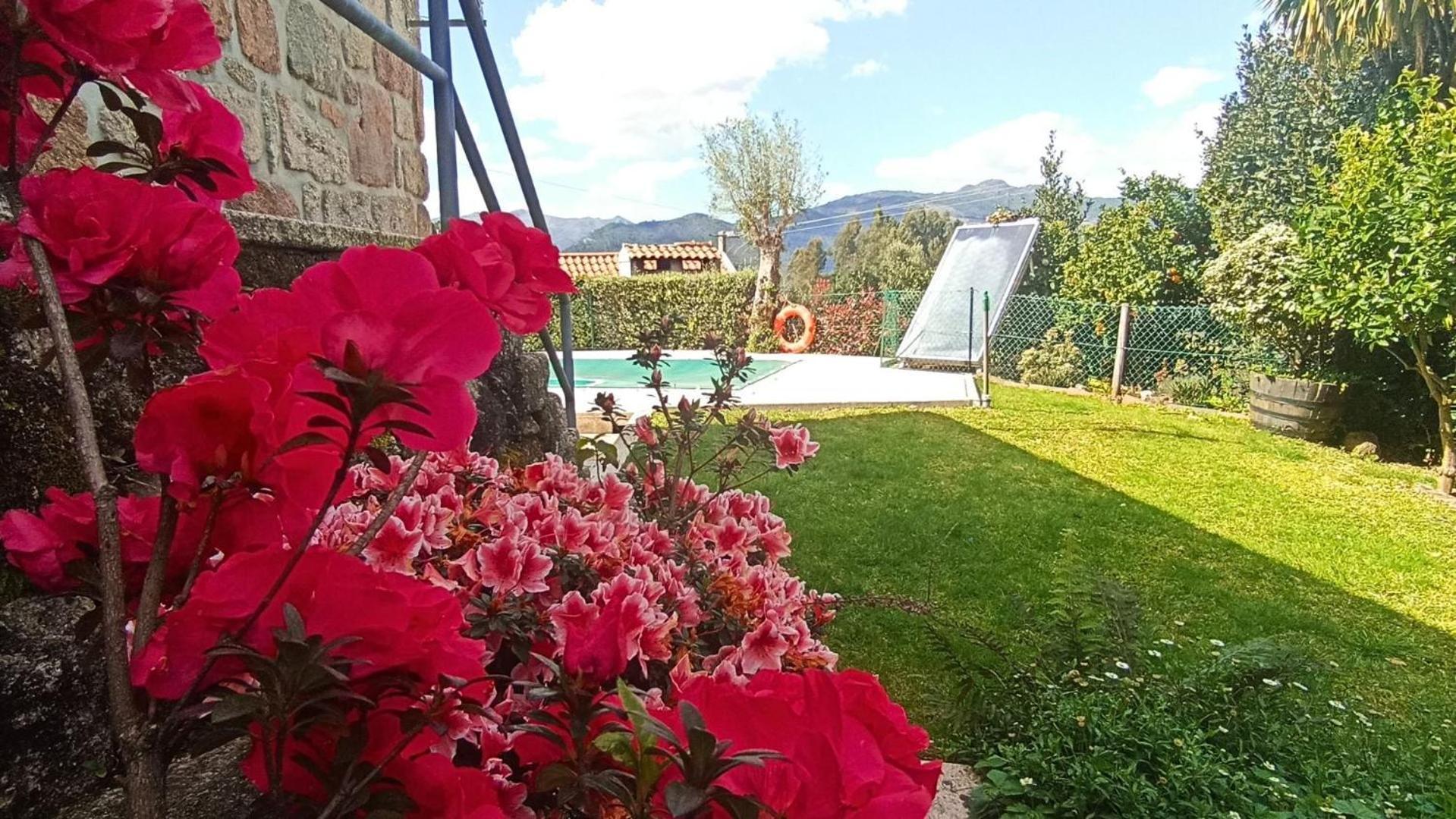 Casa Da Lage - T1 Com Piscina Privada - Geres 吉尔斯 外观 照片